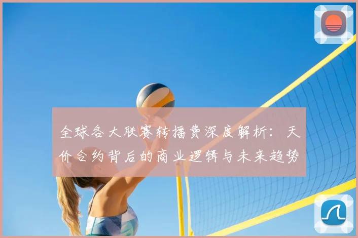 全球各大联赛转播费深度解析：天价合约背后的商业逻辑与未来趋势